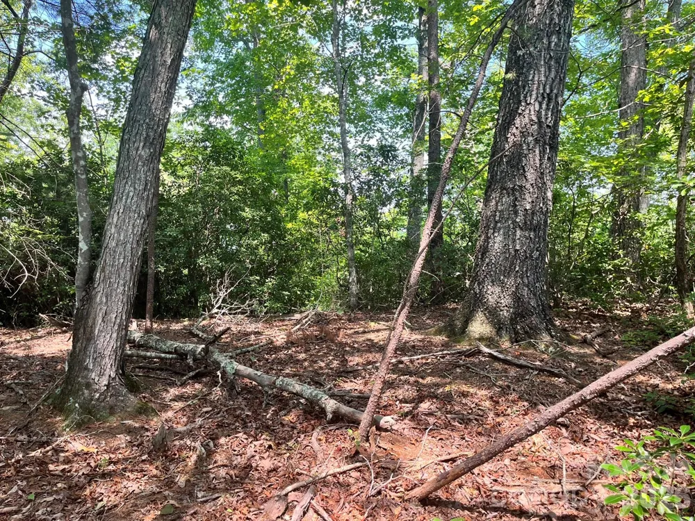 Lot 25 Bluebird Terrace Lake Lure, NC 28746