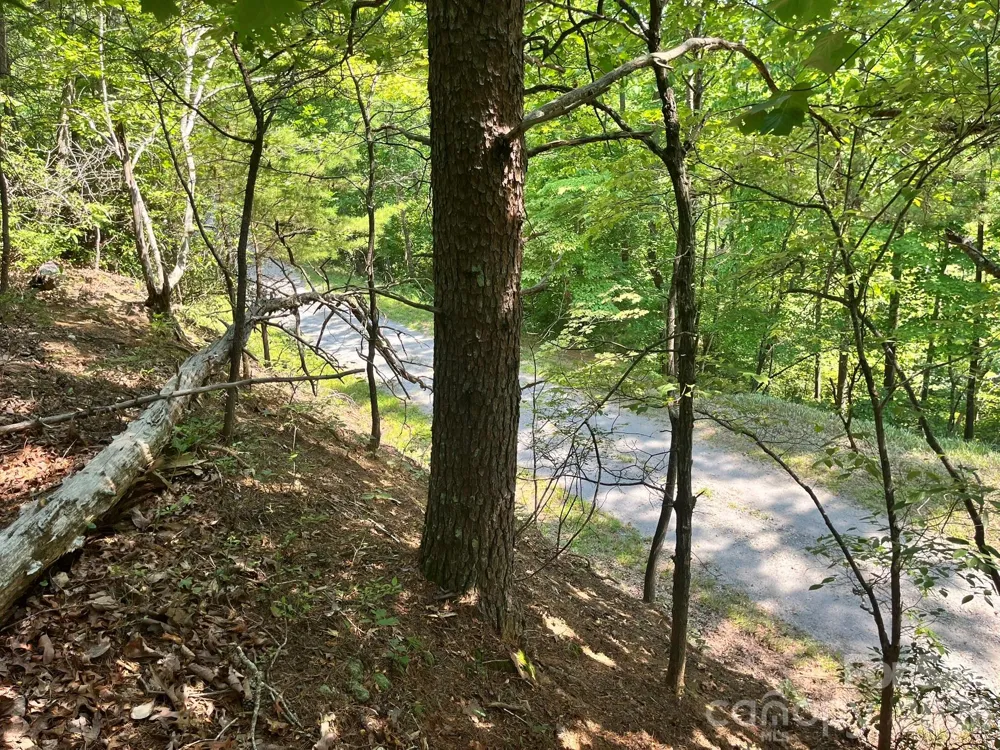 Lot 25 Bluebird Terrace Lake Lure, NC 28746