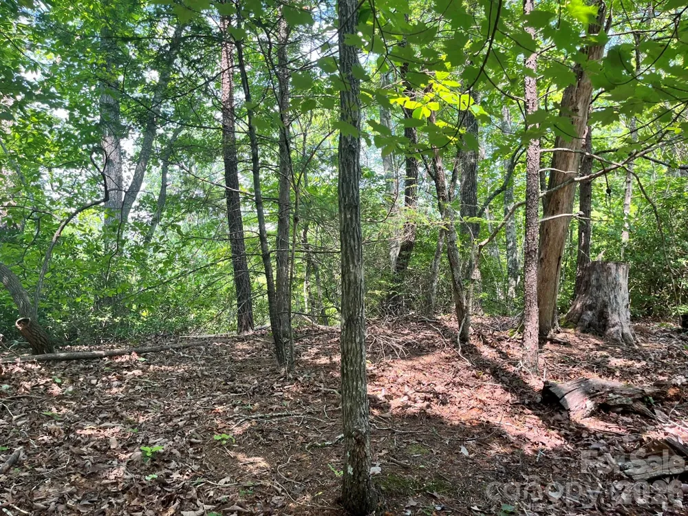 Lot 25 Bluebird Terrace Lake Lure, NC 28746