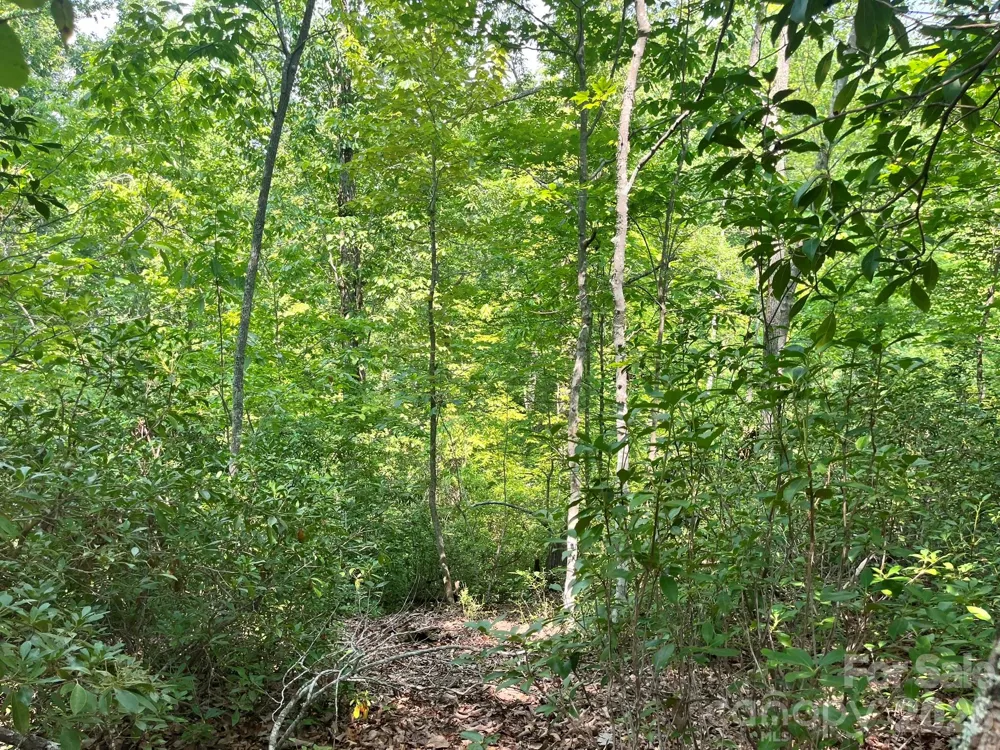 Lot 25 Bluebird Terrace Lake Lure, NC 28746