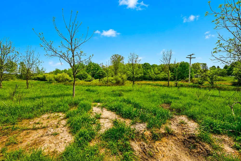 McGuiness Road Dexter, MI 48130
