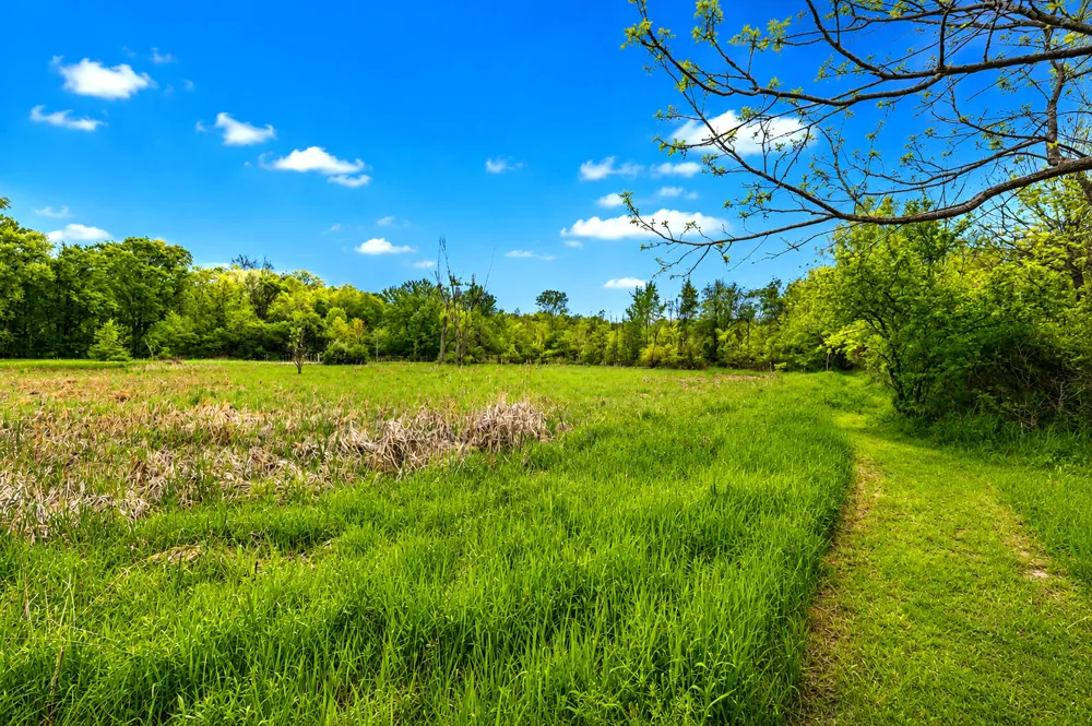 McGuiness Road Dexter, MI 48130