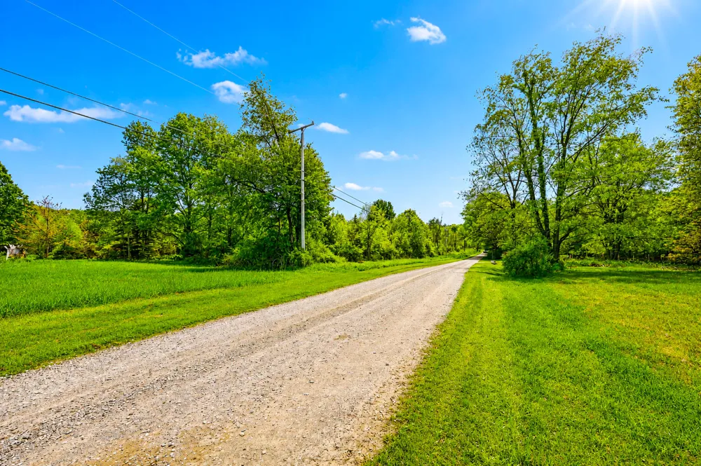 McGuiness Road Dexter, MI 48130