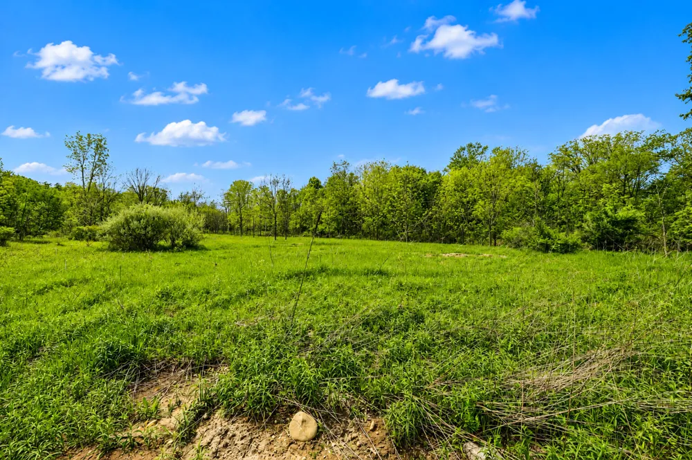 McGuiness Road Dexter, MI 48130