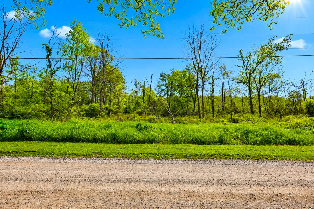 McGuiness Road Dexter, MI 48130