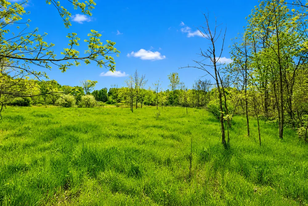 McGuiness Road Dexter, MI 48130