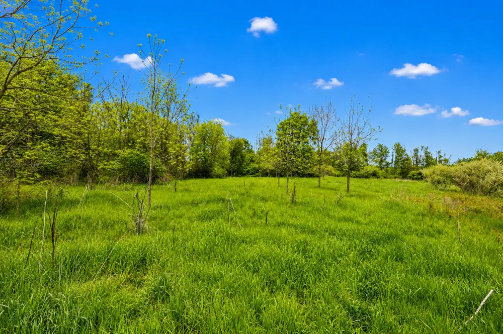McGuiness Road Dexter, MI 48130