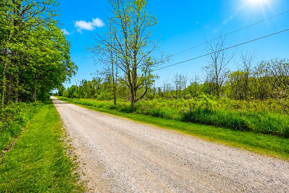 McGuiness Road Dexter, MI 48130