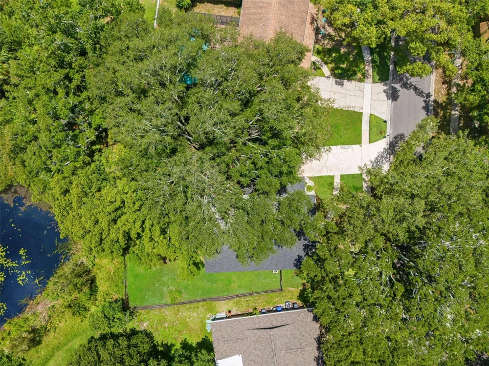 15521 WETSTONE DRIVE Tampa, FL 33613
