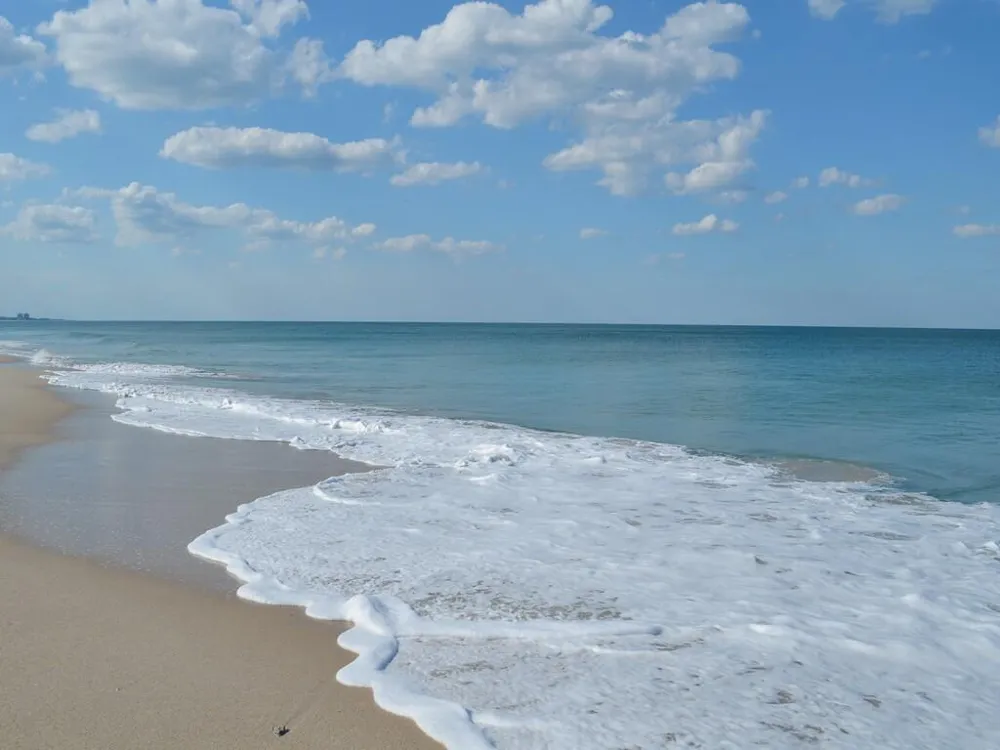 2333 Indian River Boulevard Vero Beach, FL 32960