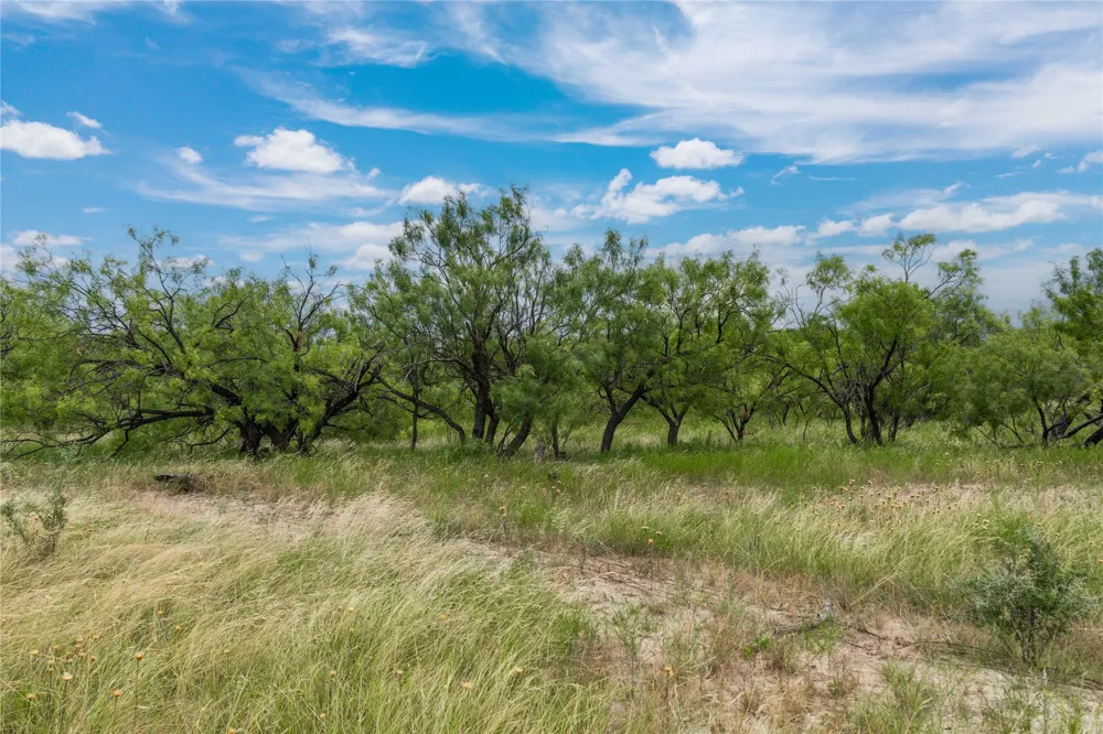 6000 Fm 586 S Bangs, TX 76823