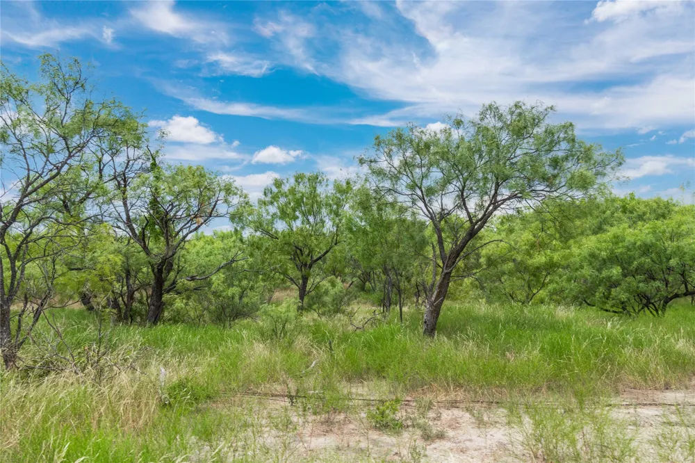 6000 Fm 586 S Bangs, TX 76823
