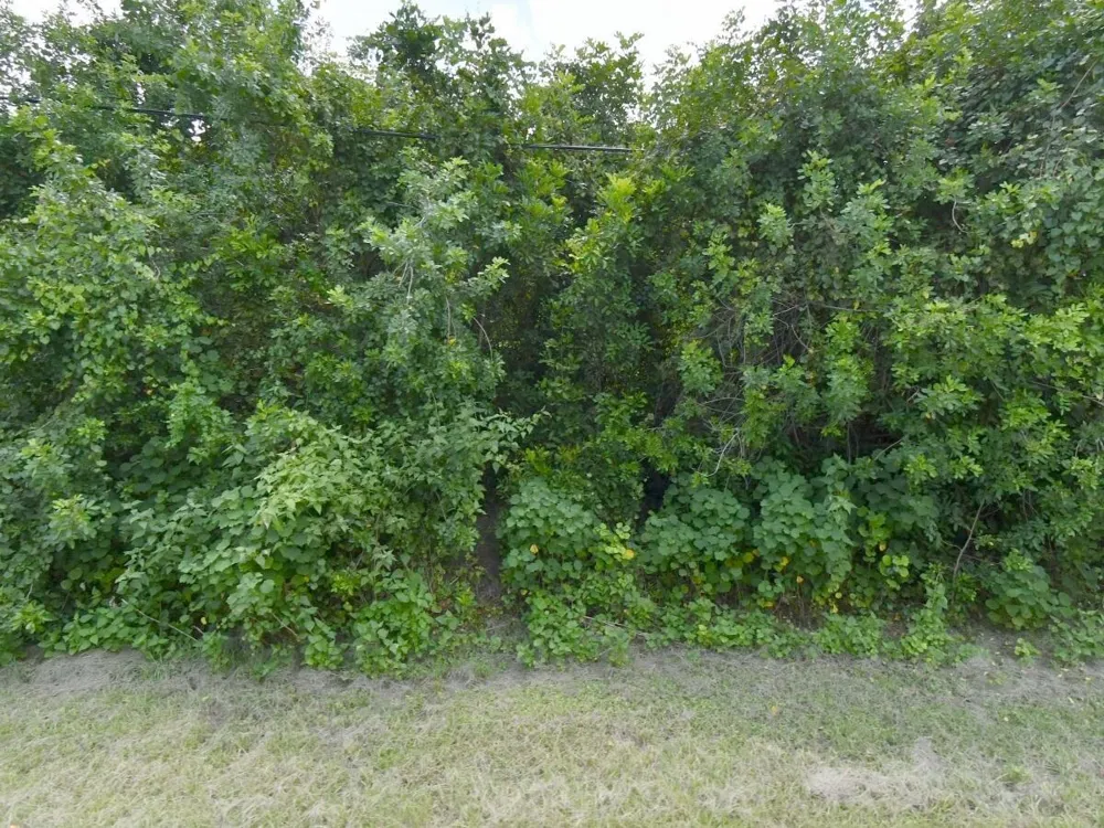 3025 SW COLLINGS DRIVE Port St. Lucie, FL 34953