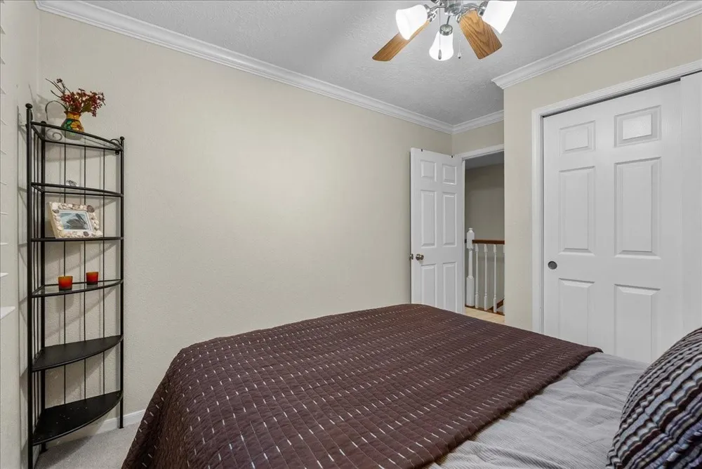 2242 Gemini Street Houston, TX 77058