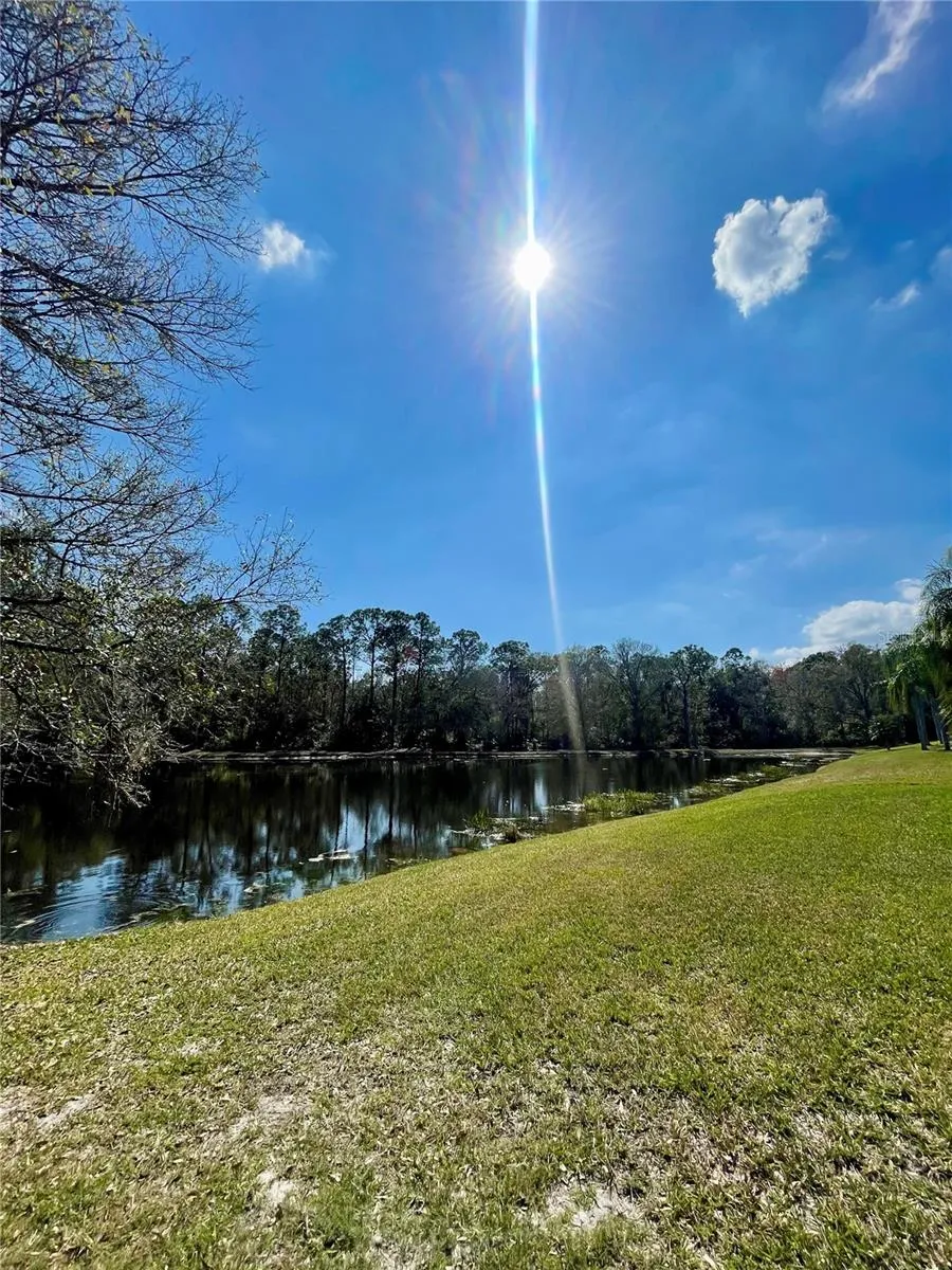 13261 ROYAL GEORGE AVENUE Odessa, FL 33556