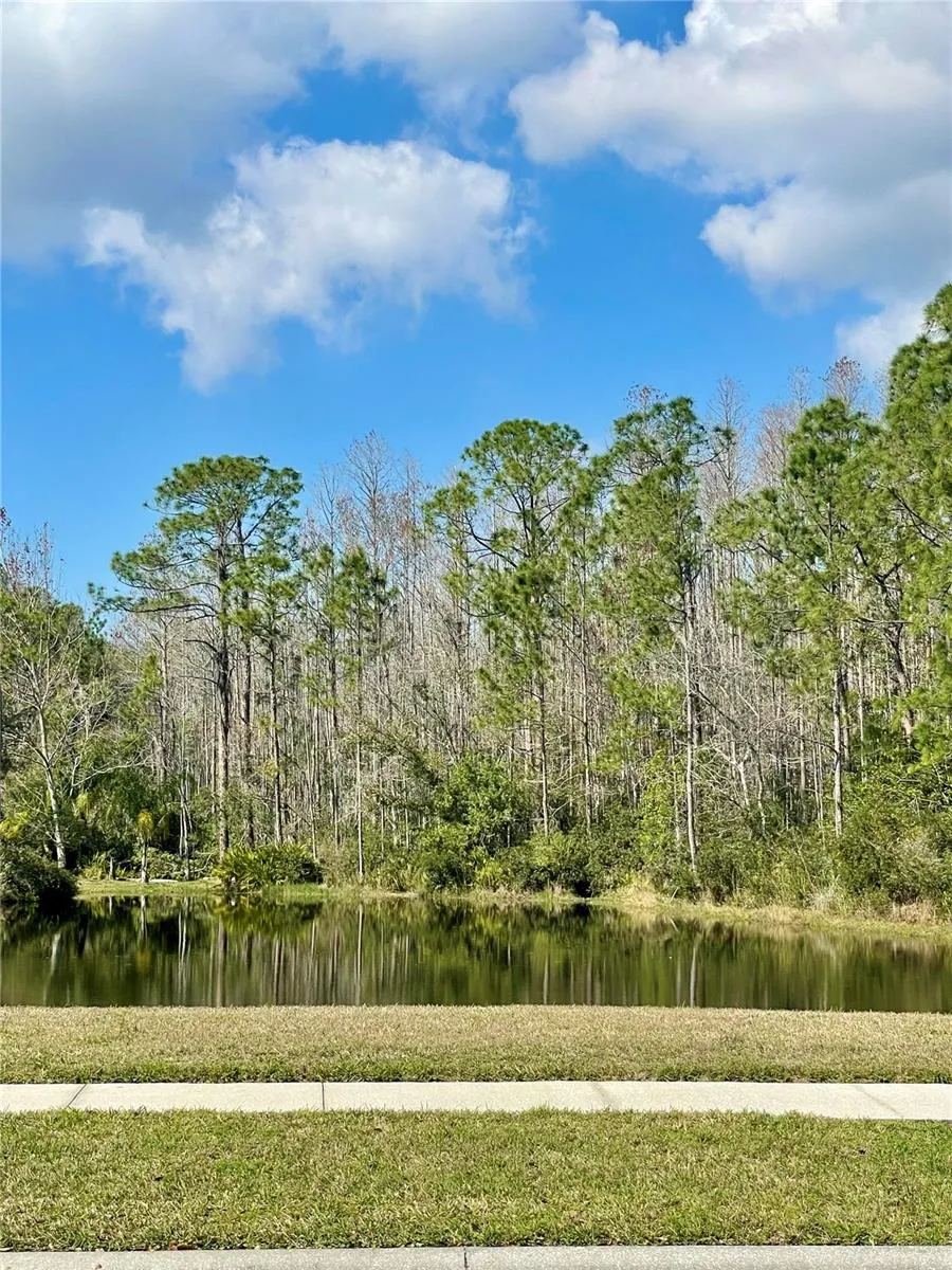 13261 ROYAL GEORGE AVENUE Odessa, FL 33556