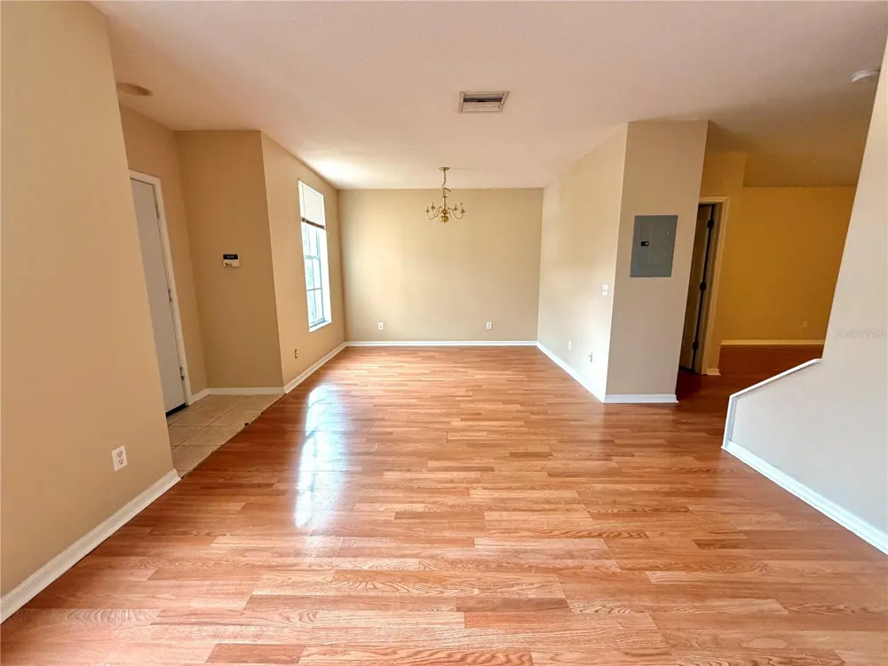 30209 SWINFORD LANE Wesley Chapel, FL 33543
