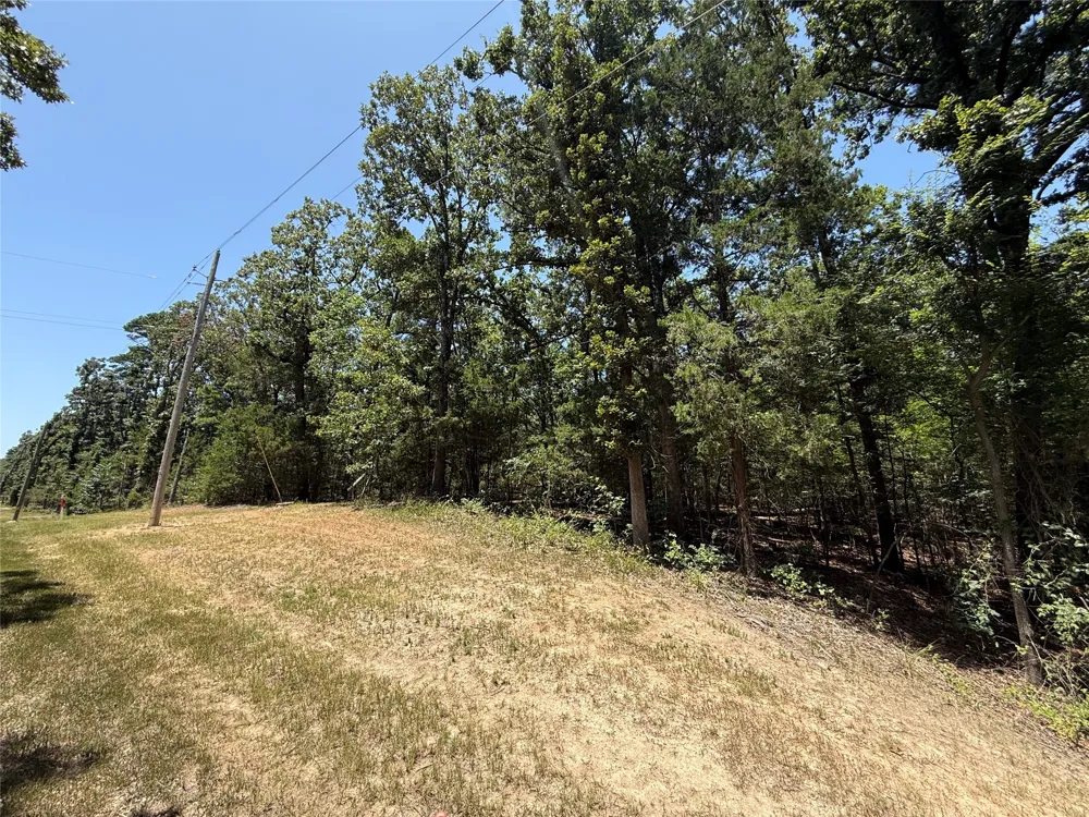 Whispering Pine Trail Mount Vernon, TX 75457