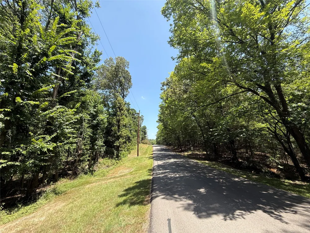 Whispering Pine Trail Mount Vernon, TX 75457