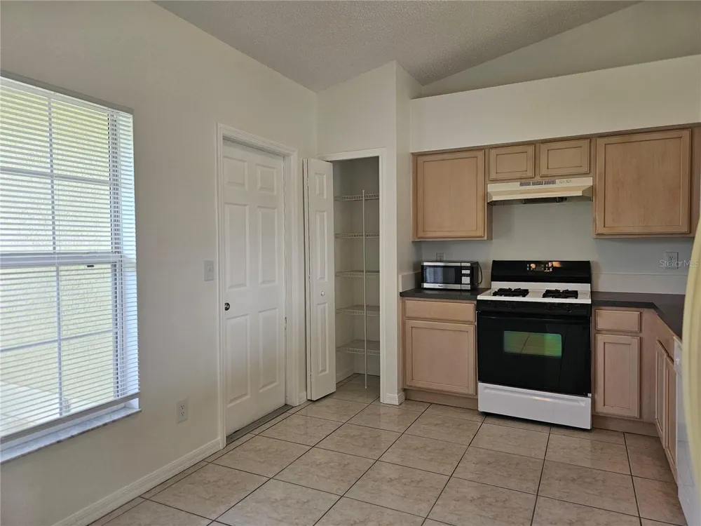 13345 PINYON DRIVE Clermont, FL 34711
