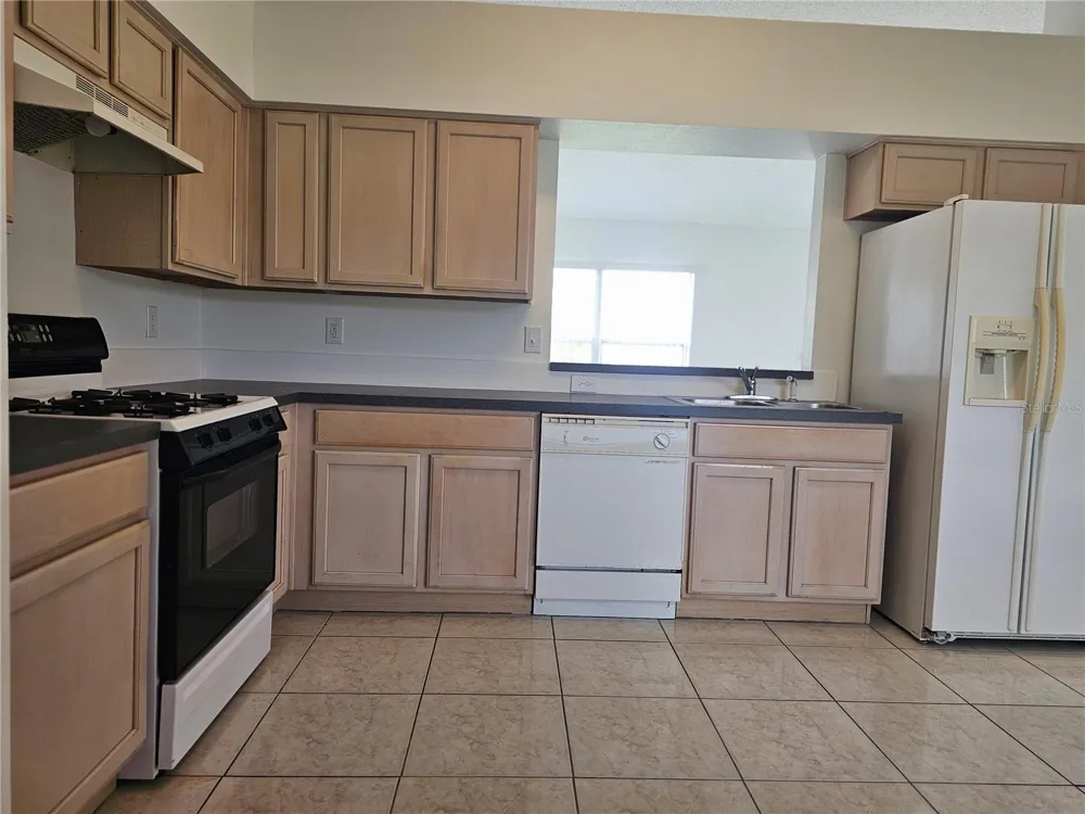 13345 PINYON DRIVE Clermont, FL 34711