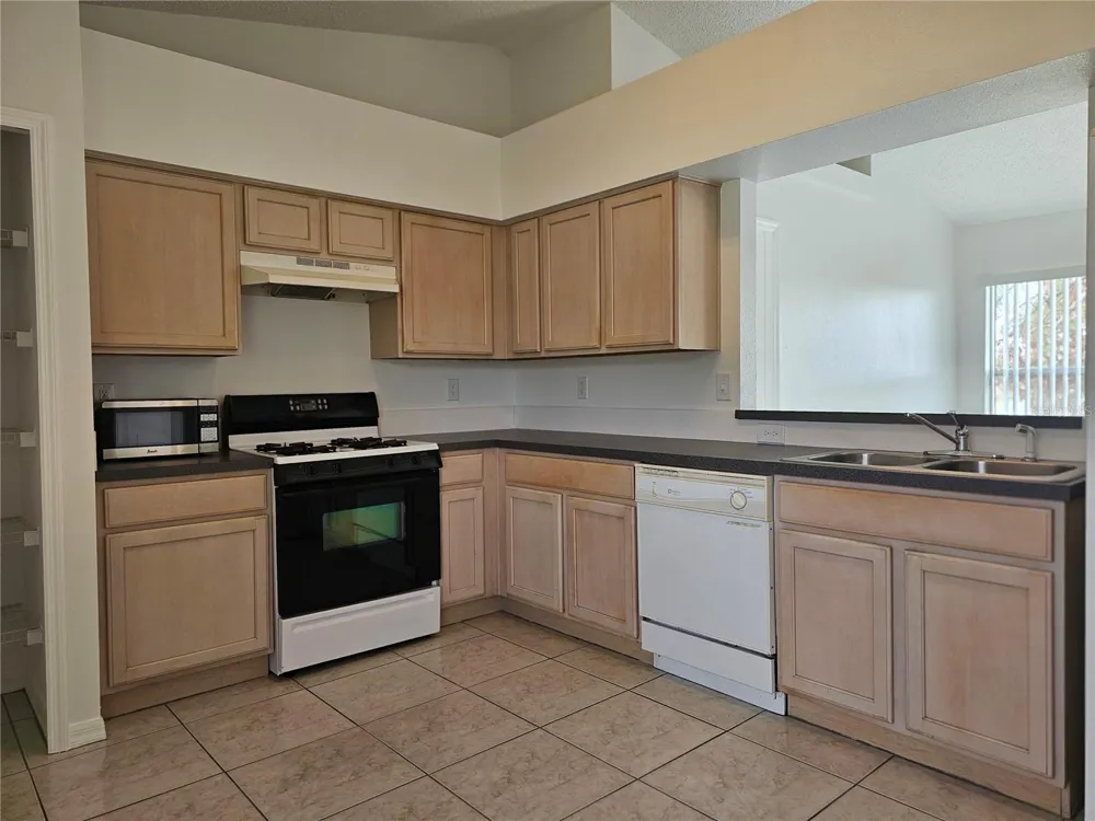 13345 PINYON DRIVE Clermont, FL 34711