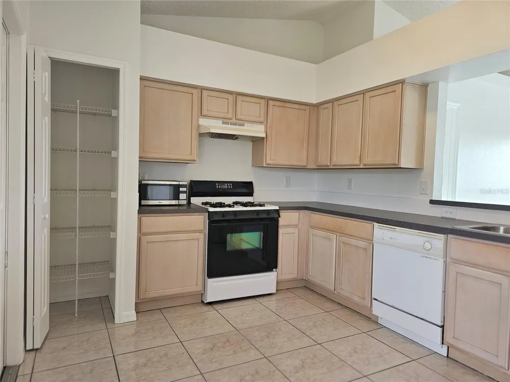 13345 PINYON DRIVE Clermont, FL 34711