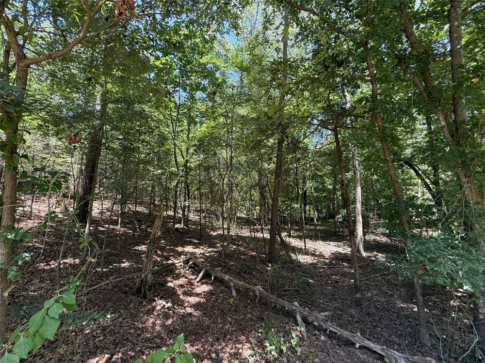 Whispering Pine Trail Mount Vernon, TX 75457