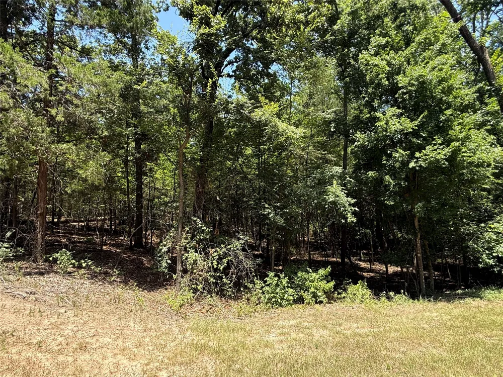 Whispering Pine Trail Mount Vernon, TX 75457
