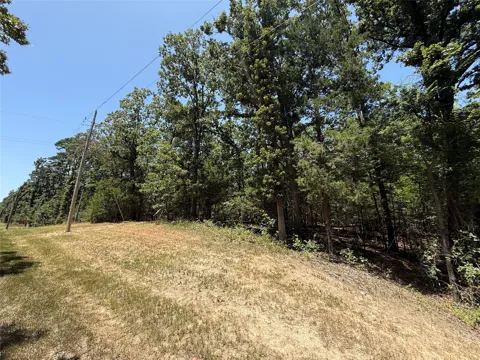 Whispering Pine Trail