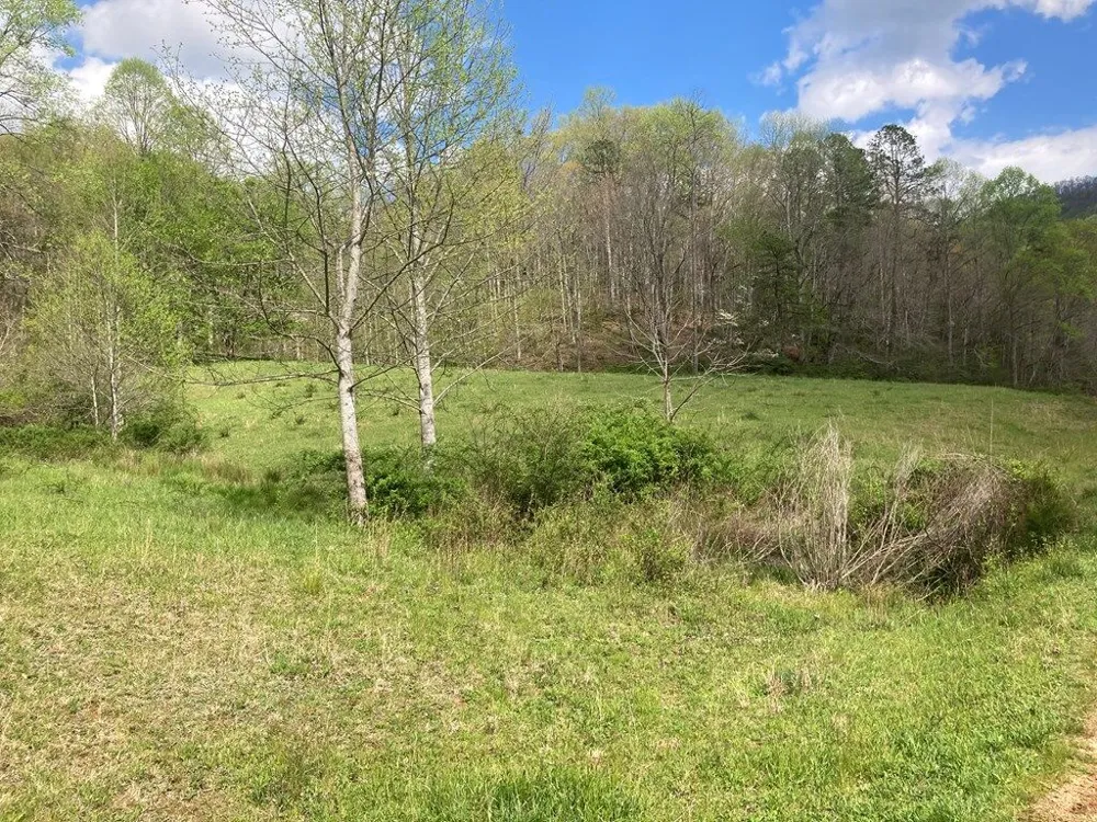 Burningtown Falls Rd Franklin, NC 28734