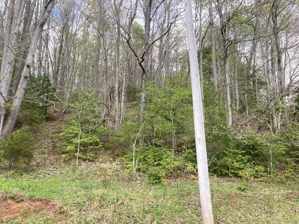 Burningtown Falls Rd Franklin, NC 28734