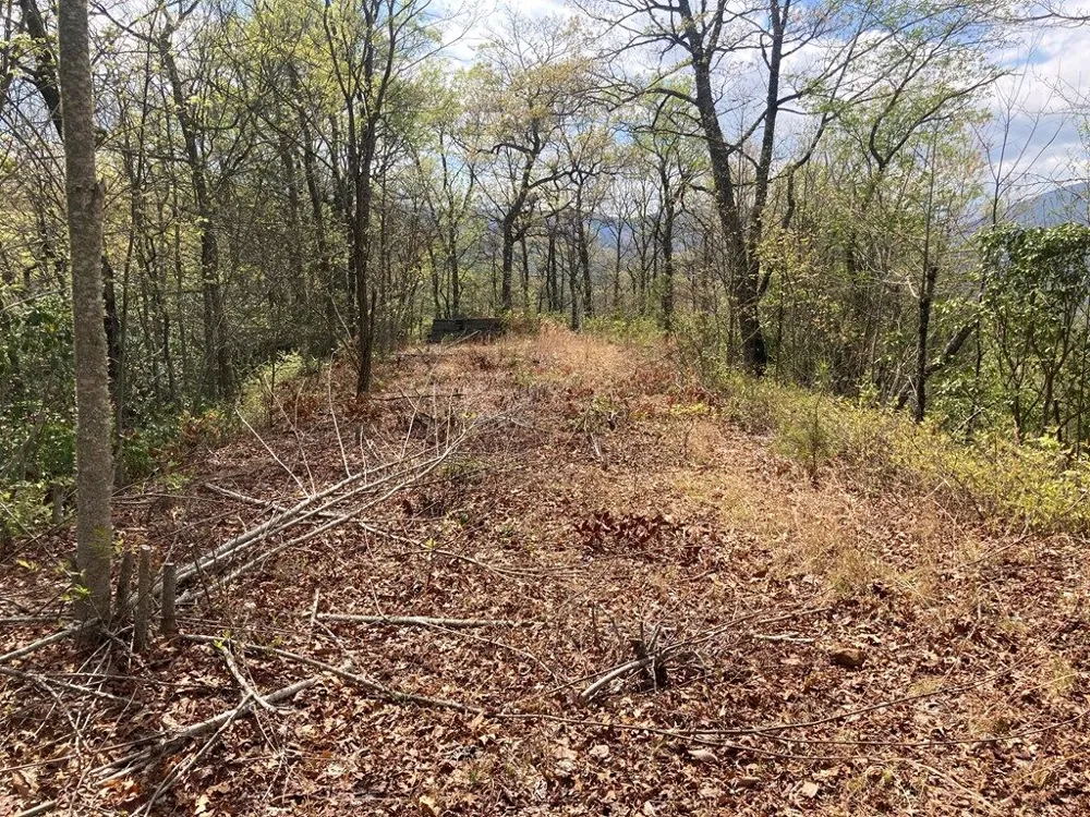 Burningtown Falls Rd Franklin, NC 28734