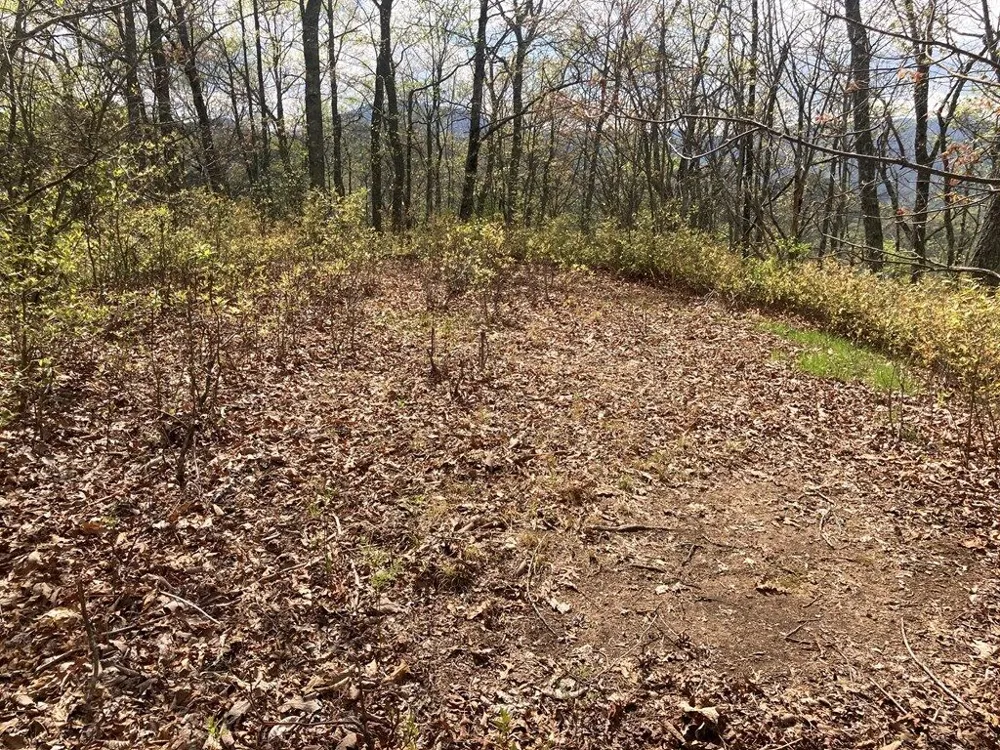 Burningtown Falls Rd Franklin, NC 28734