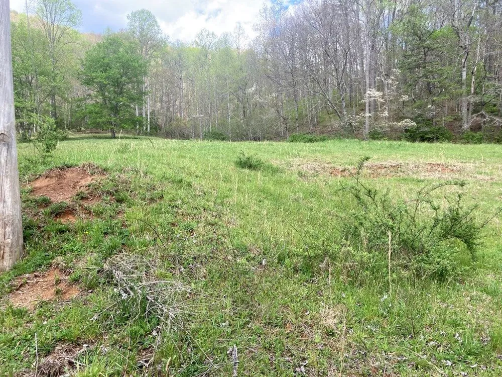 Burningtown Falls Rd Franklin, NC 28734