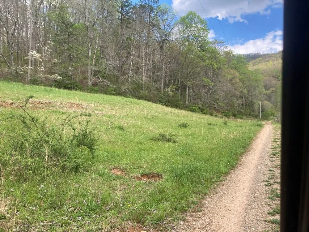 Burningtown Falls Rd Franklin, NC 28734