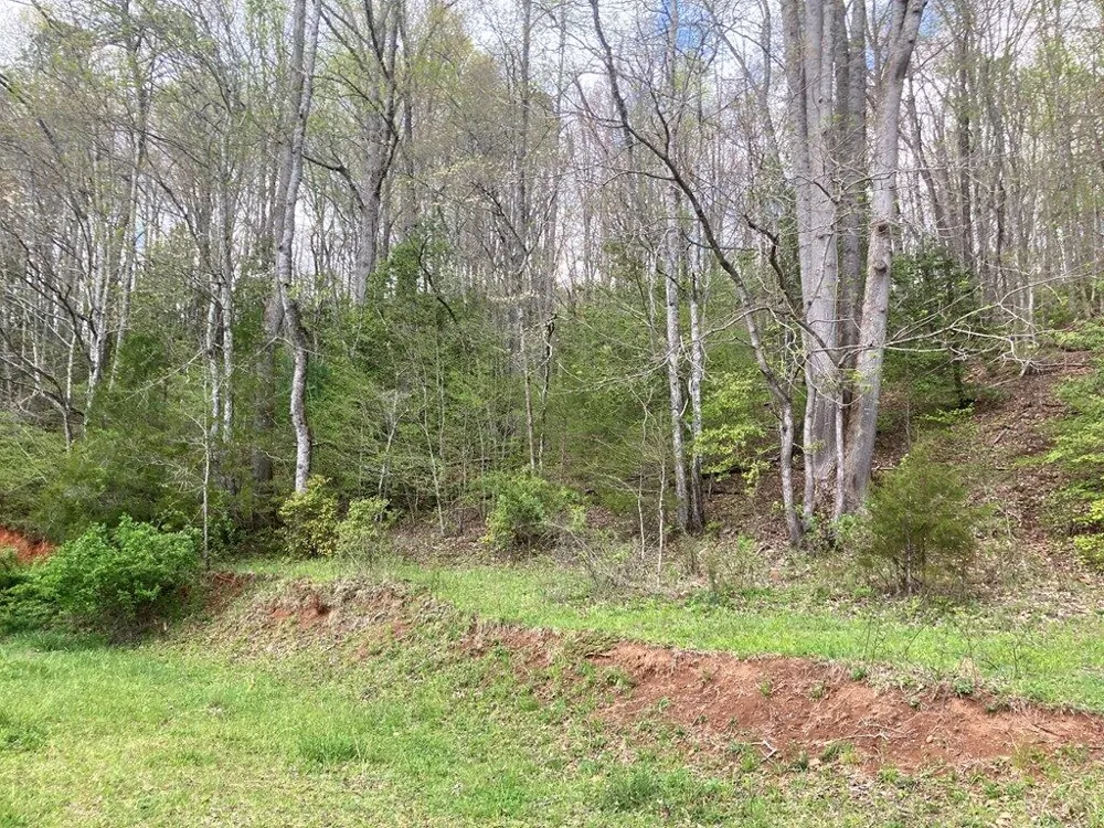 Burningtown Falls Rd Franklin, NC 28734