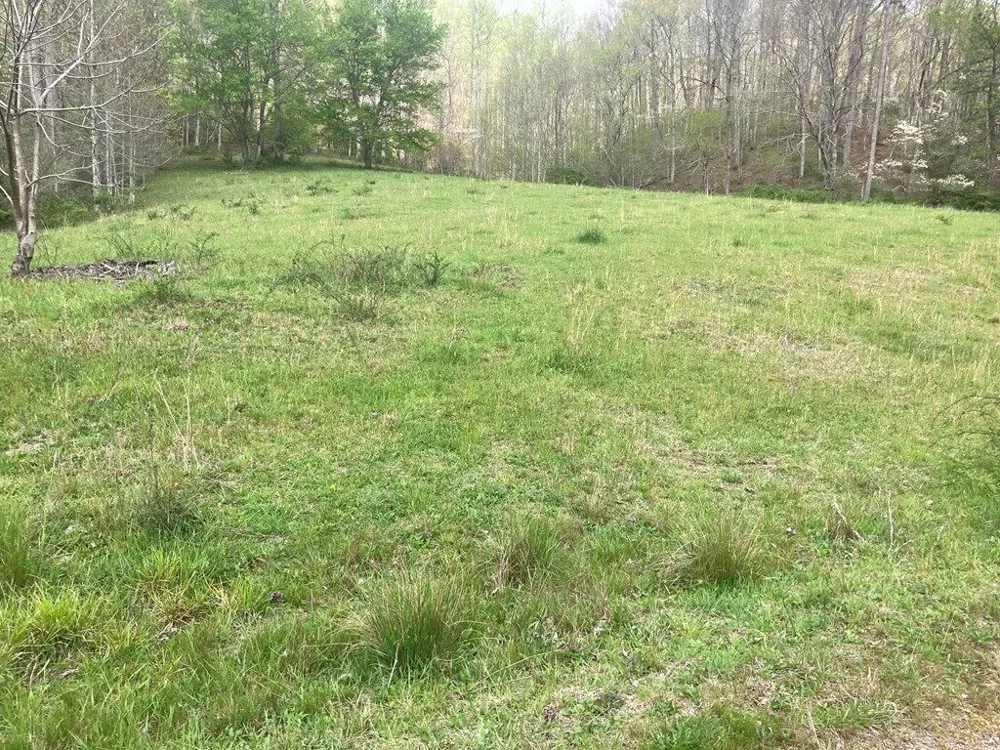 Burningtown Falls Rd Franklin, NC 28734