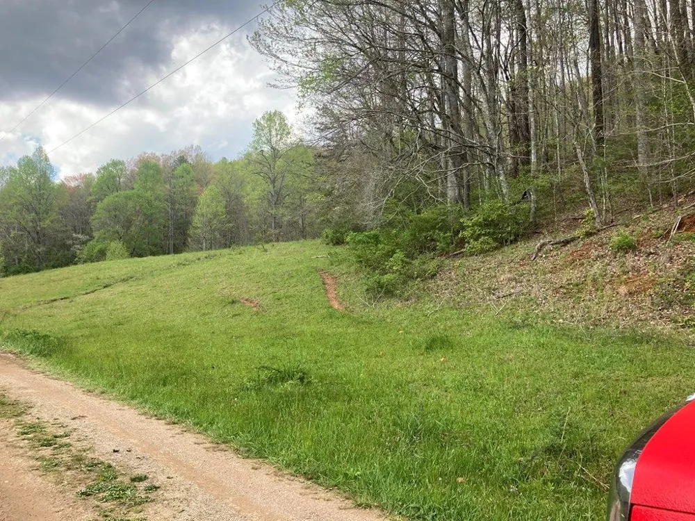 Burningtown Falls Rd Franklin, NC 28734