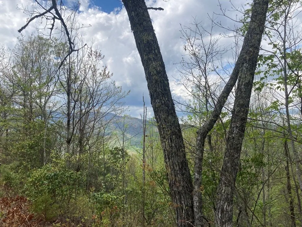 Burningtown Falls Rd Franklin, NC 28734