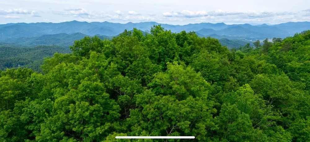 Burningtown Falls Rd Franklin, NC 28734