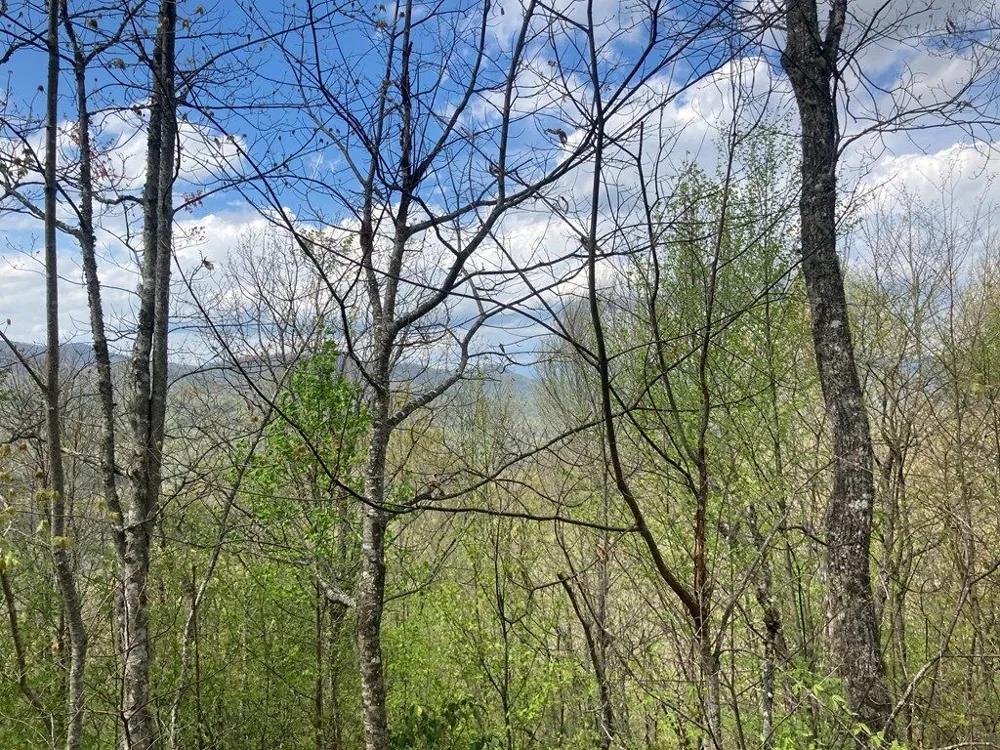 Burningtown Falls Rd Franklin, NC 28734