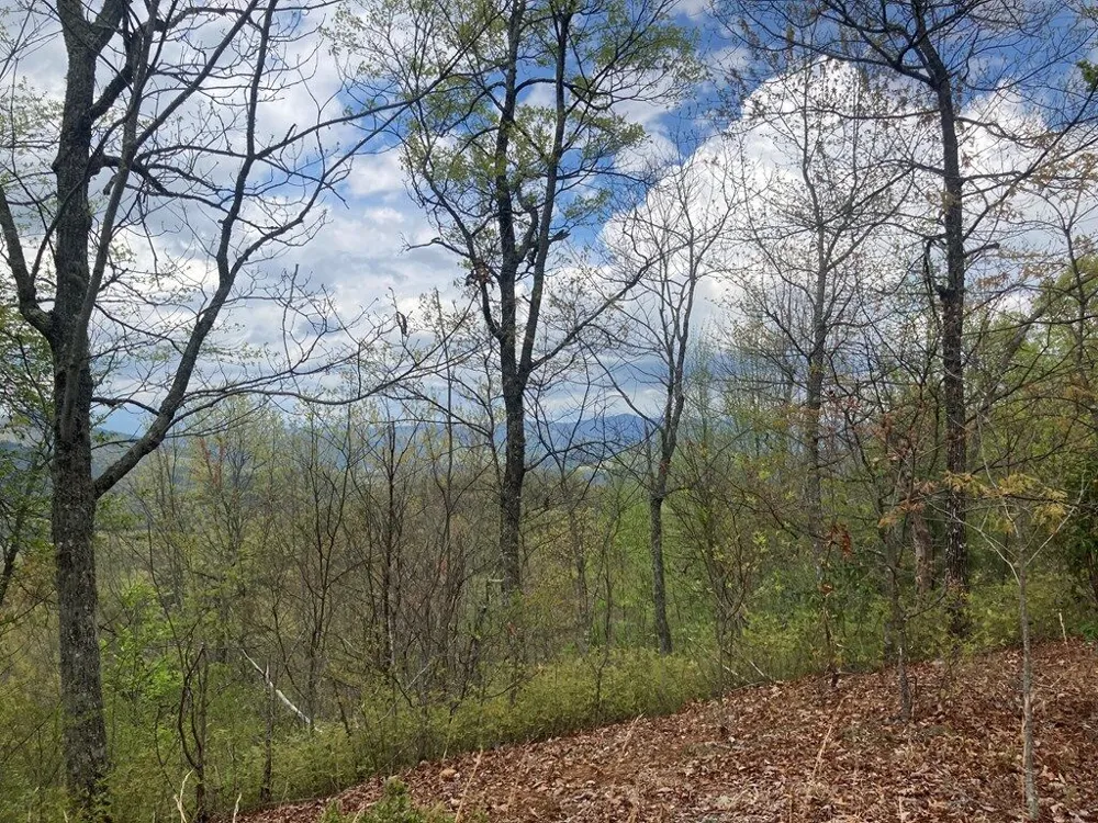 Burningtown Falls Rd Franklin, NC 28734