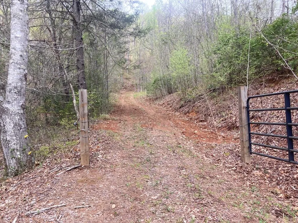 Burningtown Falls Rd Franklin, NC 28734