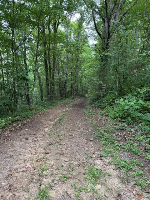 Upper Pigeon Creek