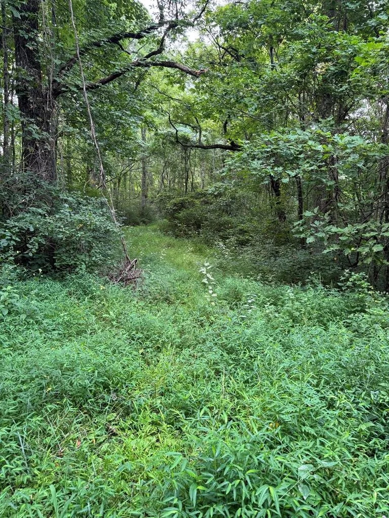 Upper Pigeon Creek Bryson City, NC 28713