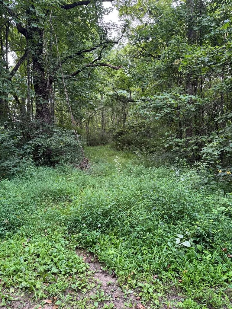 Upper Pigeon Creek Bryson City, NC 28713