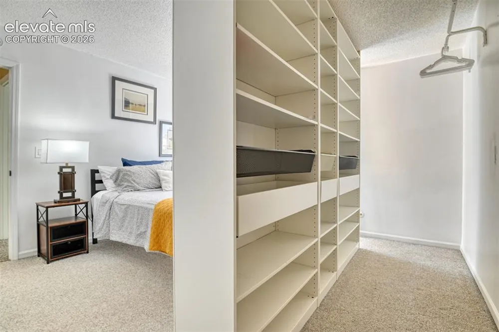 379 Raspberry Lane Monument, CO 80132