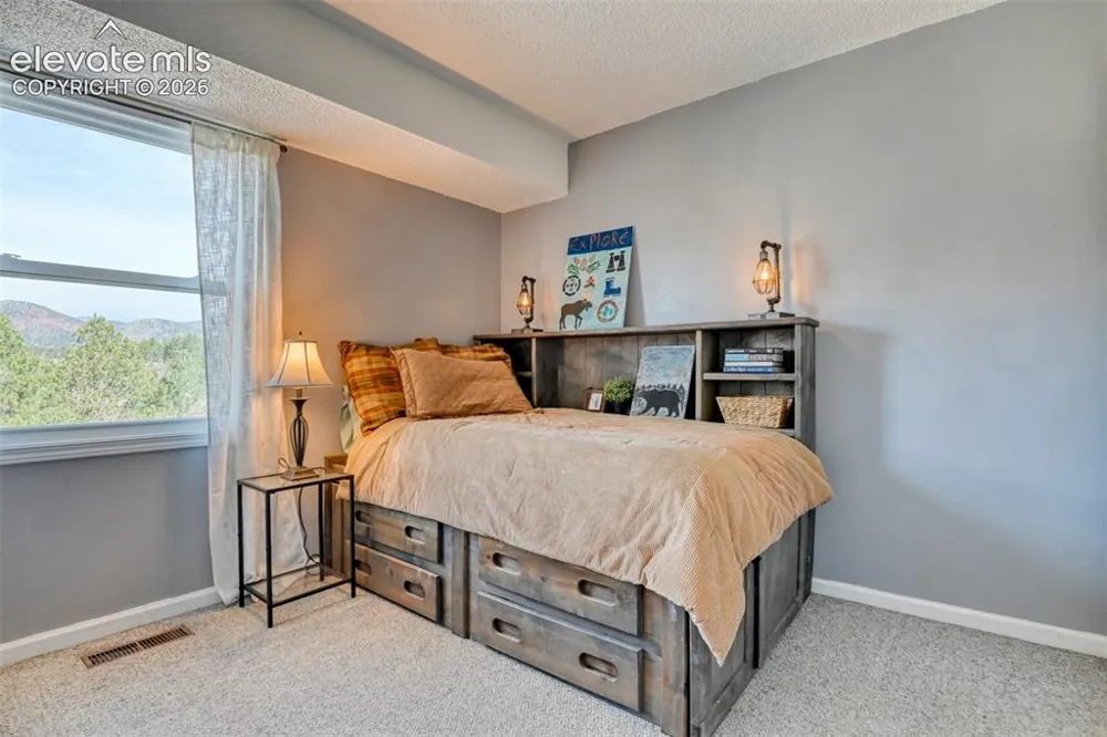 379 Raspberry Lane Monument, CO 80132