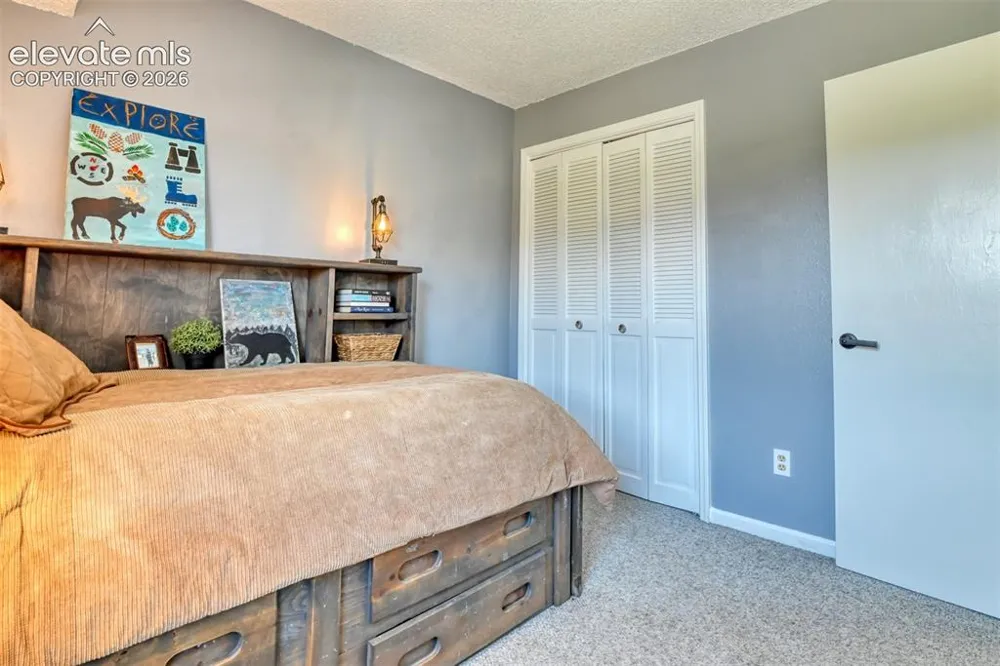 379 Raspberry Lane Monument, CO 80132
